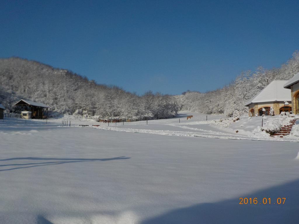 Naspolya Panzio Es Etterem Bed & Breakfast Bataapati Exterior photo